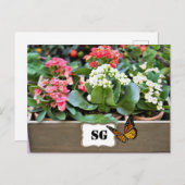 Monogramm Container Flower Garden Postkarte (Vorne/Hinten)