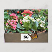 Monogramm Container Flower Garden Postkarte (Vorderseite)