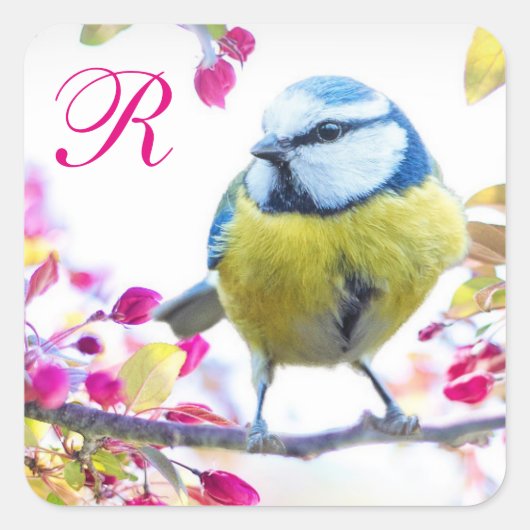 Monogramm für Vögel und Rosa Blüten Quadratischer Aufkleber (Vorderseite)