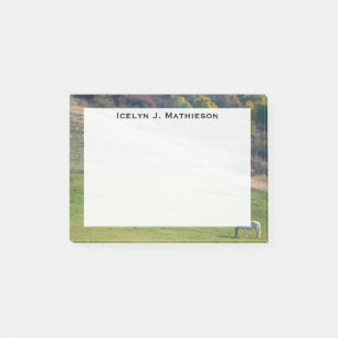 Monogramm Graues Pferd auf einem grünen Feld Post-it Klebezettel