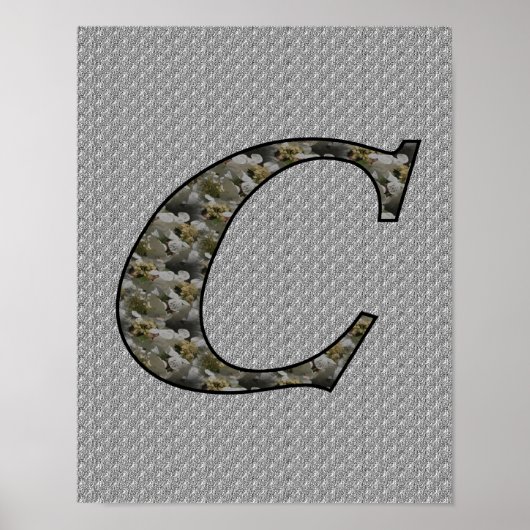 Monogramm Initiale C Hortensien Blumen Poster (Vorne)