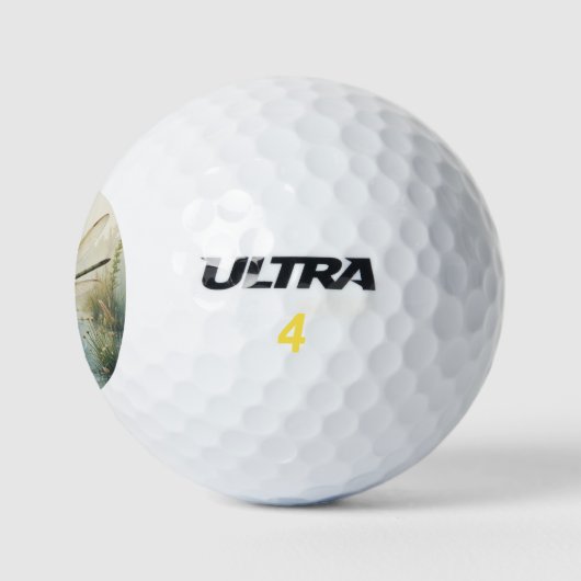 Monogramm Libelle Libellen Golfball (Logo)