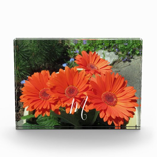 Monogramm Orange Floral Fotografie Fotoblock (Vorderseite)