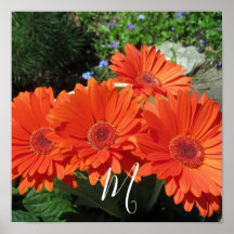 Monogramm Orange Floral Fotografie