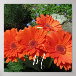 Monogramm Orange Floral Fotografie Poster