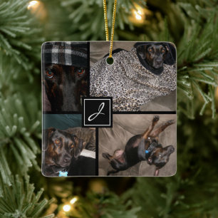 Monogrammfoto Haustier Schwarz Keramikornament