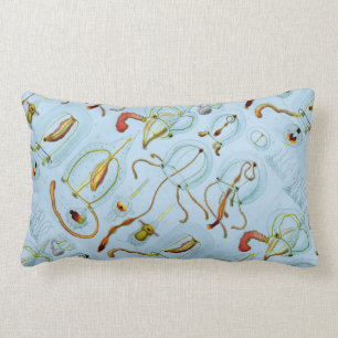 Monographie der Medusen (1879). Ernst Haeckel Lendenkissen