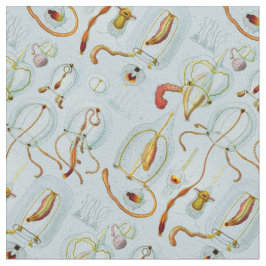 Monographie der Medusen (1879) Ernst Haeckel Stoff