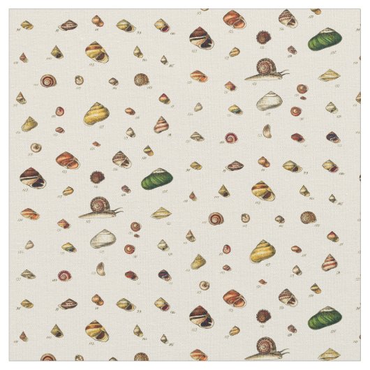 Monographien von Klassen der Muscheln Stoff (Nahaufnahme)