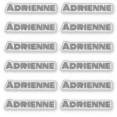 Monoline Big Letters Personalisierter Name Aufkleber (Vorderseite)