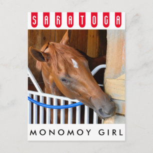 Monomoy Girl Postkarte