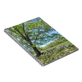 Monson Tree Portrait Spiral Notebook Notizblock
