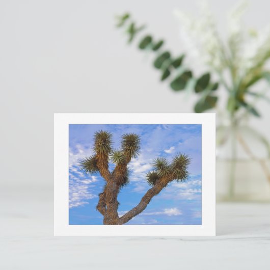 " Monsoon Morning " Postkarte (Stehend Vorderseite)