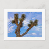 " Monsoon Morning " Postkarte (Vorderseite)