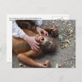 Monster Alien Attack Postkarte (Vorne/Hinten)