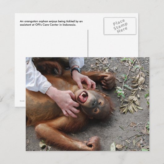 Monster Alien Attack Postkarte (Vorne/Hinten)