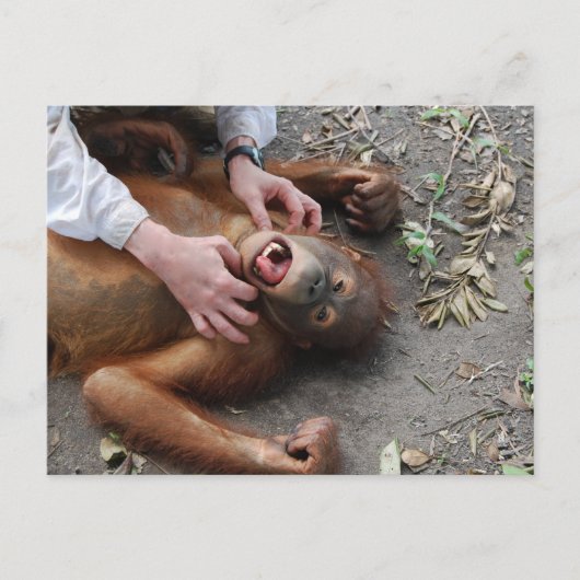 Monster Alien Attack Postkarte (Vorderseite)