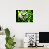 Monster-Blume drucken - Wählen Sie Ihre Rahmen aus Poster (Heimbüro)