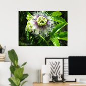 Monster-Blume Poster (Heimbüro)