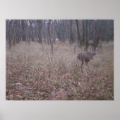 Monster Buck Poster (Vorne)