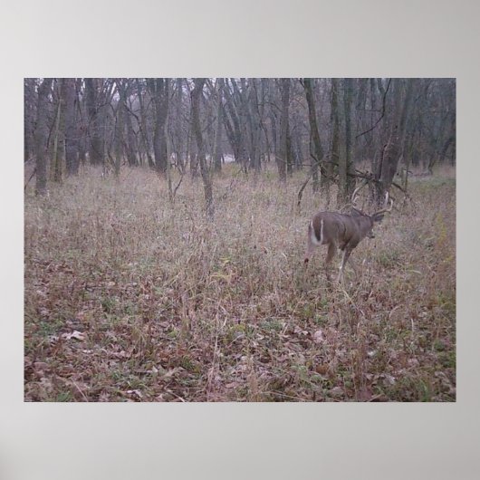 Monster Buck Poster (Vorne)