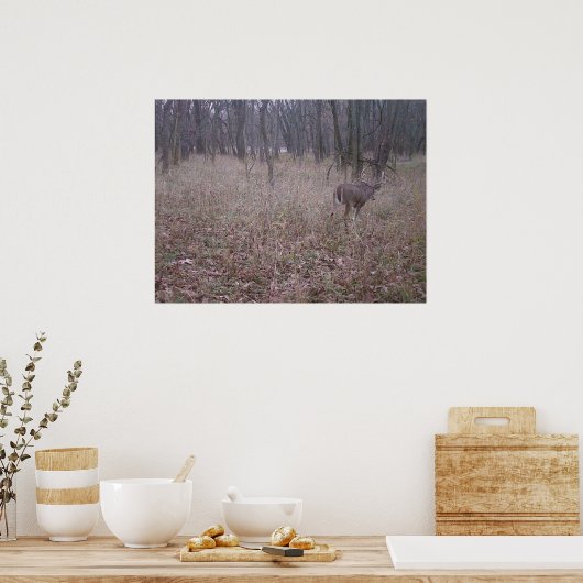 Monster Buck Poster (Küche)