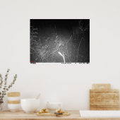 Monster Buck Trail Camera Poster (Küche)