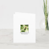 Monster-Kreaturen-Halloween-Party-Einladung Einladung (Rückseite)