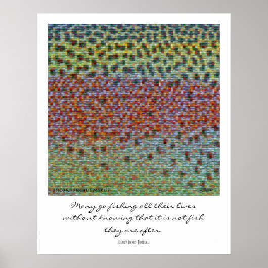 Monster-Poster für Fische Poster (Vorne)