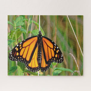 Monster-Schmetterling Puzzle