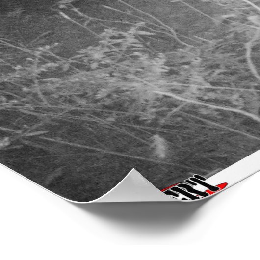 Monster Trail Camera Buck Poster (Ecke)