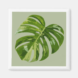 Monstera Albo Hero-Blatt-Magnet — Seltene Panaschi Magnet