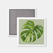Monstera Albo Hero Leaf Magnet — Rare Variegation  (Vorderseite/Rückseite)