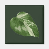 Monstera Albo Leaf — Rare Variegation  Magnet (Vorne)