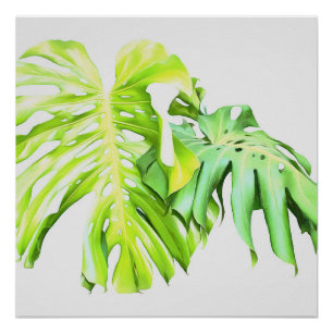Monstera Artistic Leaf Study Poster