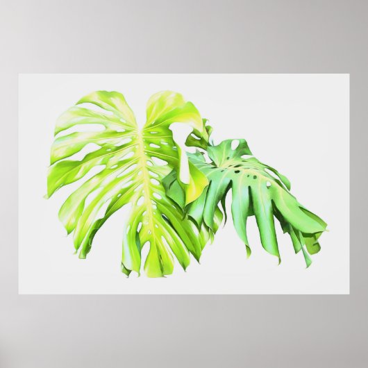 Monstera Artistic Leaf Study Poster (Vorne)