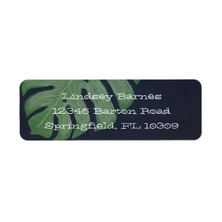Monstera-Blatt