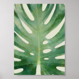 Monstera-Blatt Poster