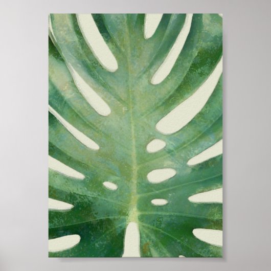 Monstera-Blatt Poster (Vorne)