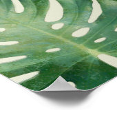 Monstera-Blatt Poster (Ecke)