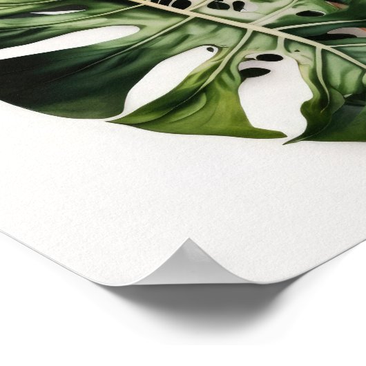 Monstera Blätter Art Print Poster (Ecke)
