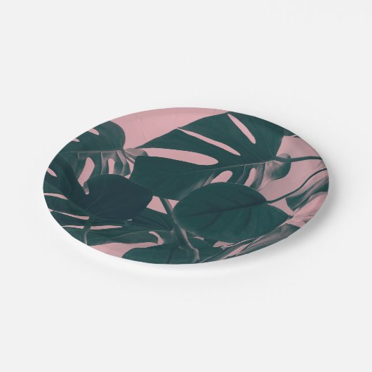 Monstera Blätter auf Rosa Pappteller (Schrägansicht)
