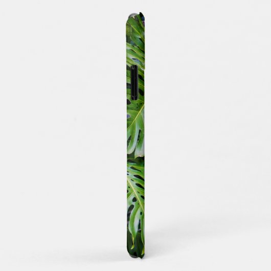 Monstera Blätter, Limahuli Gardens, Kauai, Hawaii Case-Mate iPhone Hülle (Hinten/Rechts)