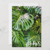 Monstera Blätter, Limahuli Gardens, Kauai, Hawaii Einladung (Vorderseite)