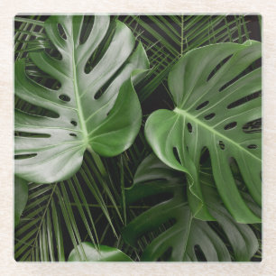 Monstera Blätter, luxuriöse tropische Anordnung. Glasuntersetzer