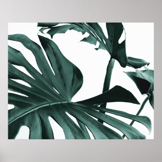 Monstera Blätter Poster (Vorne)
