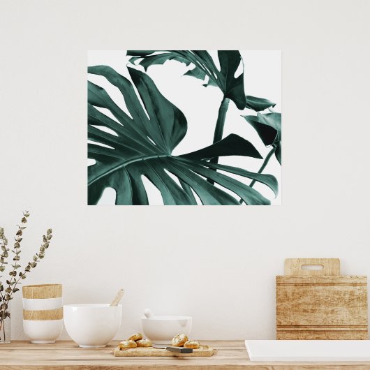 Monstera Blätter Poster (Küche)