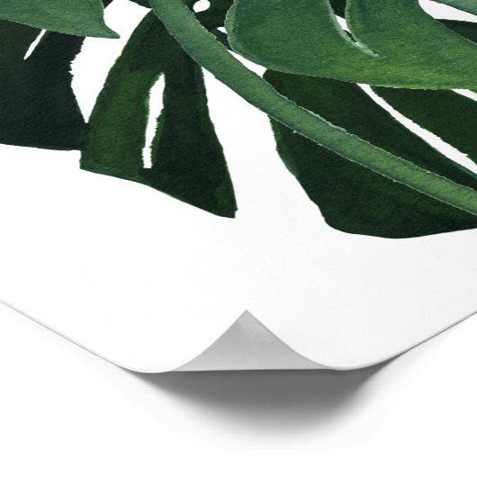 Monstera Blätter schließen Poster (Ecke)