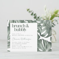 Monstera Botana Grüne Brunch Bubbly