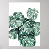 Monstera Deliciosa Blätter Poster (Vorne)